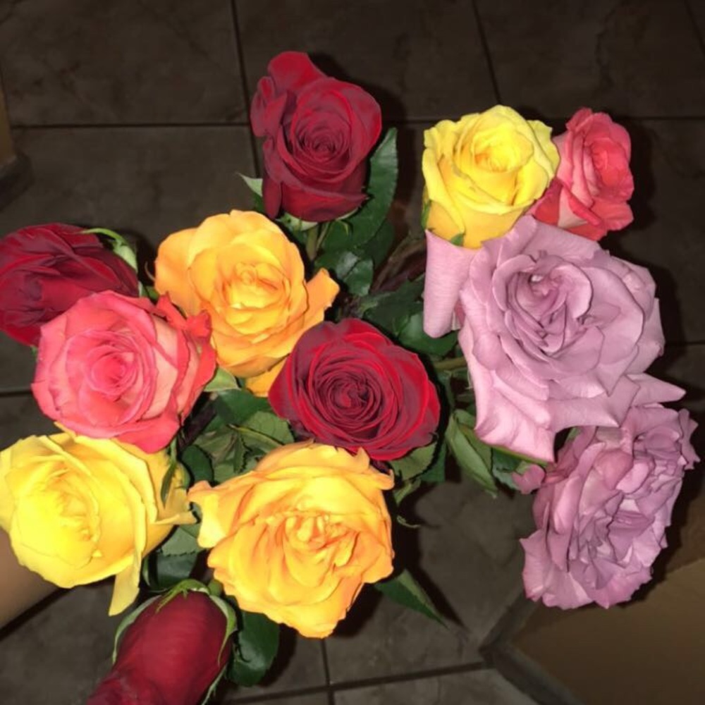 Meet your Posher, Iris